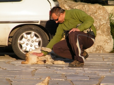 Athen-a kutya-nem-ussza-simogatas-nelkul