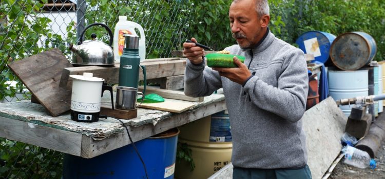 Munkás, kalandos hétköznapok! – Kattints a teljes szövegért