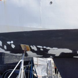 MAIA a Magyar tarka! – Kattints a teljes szövegért MAIA a Magyar tarka! – Kattints a teljes szövegért
